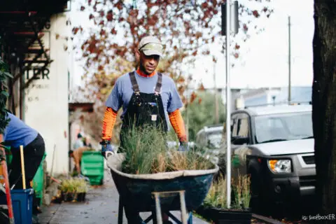 Landscapers and gardeners typically make a lot more than the current minimum wage.